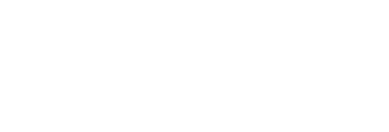 ice-data-services--white-horizontal