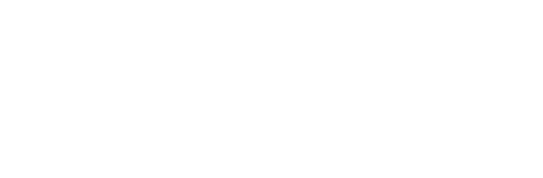 logo_0010_verbit_logo_cmyk